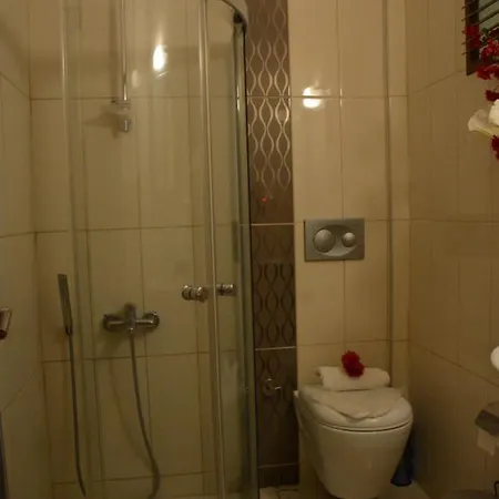 Hotel Manolya *