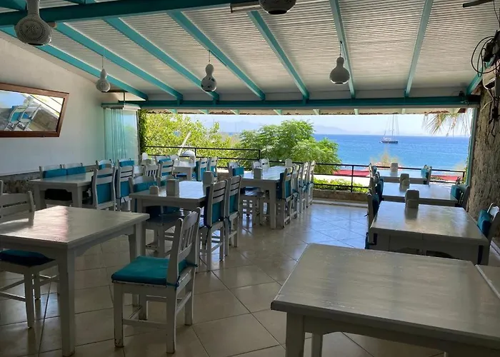 Отель Manolya Бодрум